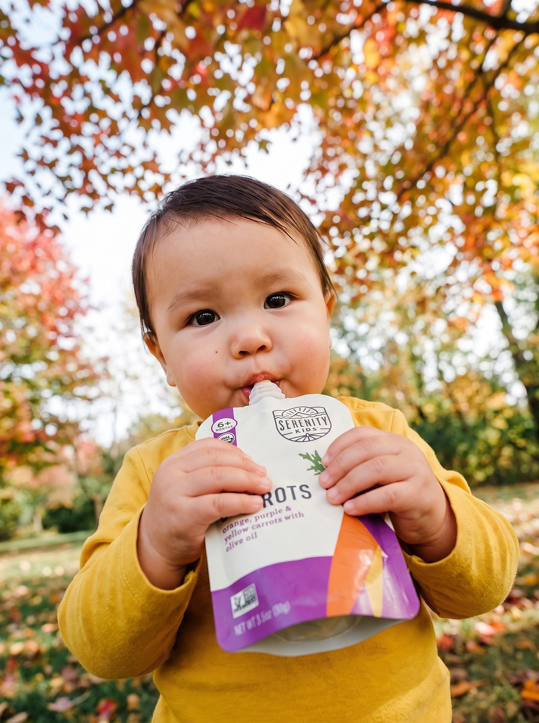 A close low-angle portrait of a baby enjoying a Serenity Kids carrots pouch beneath fall leaves